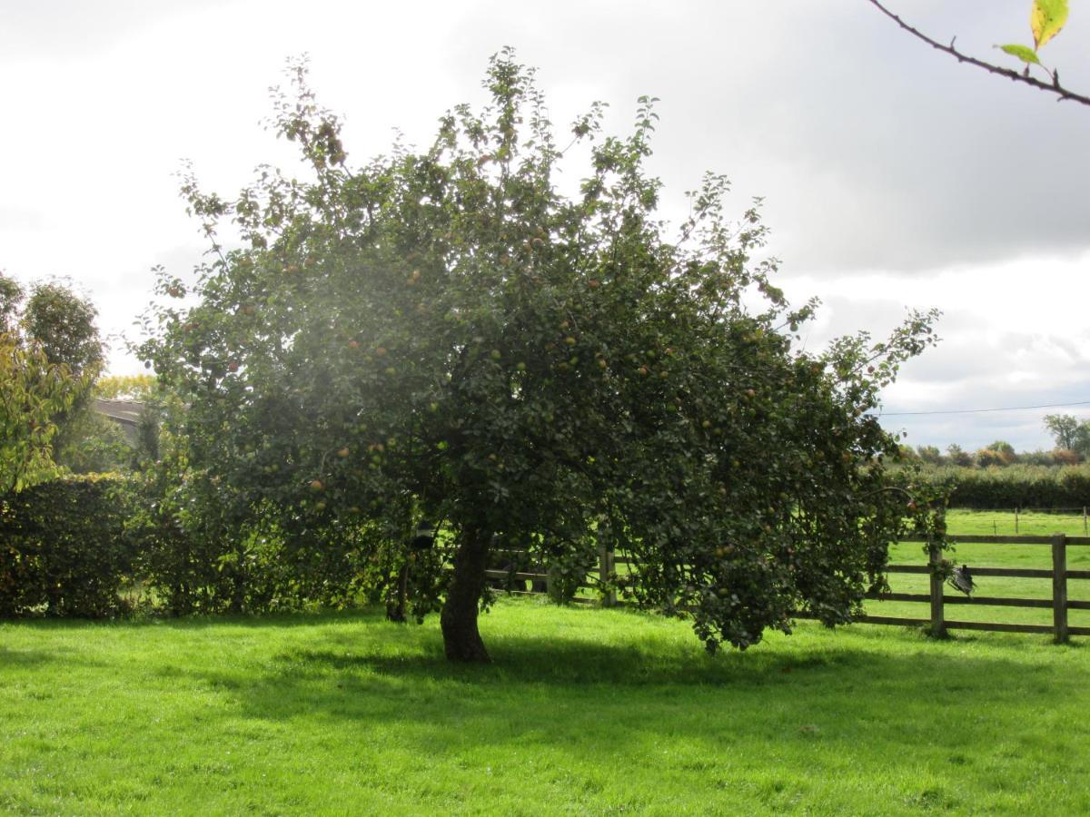 Weston Hill Farm Bed and Breakfast Moreton Pinkney Esterno foto